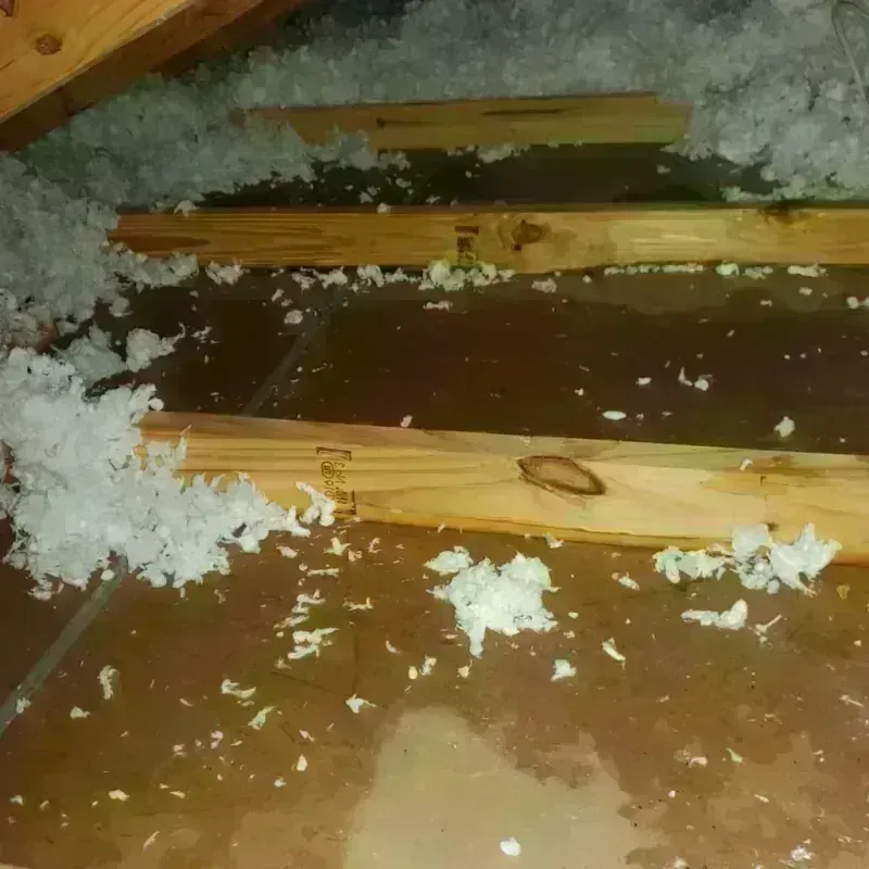 Attic Water Damage in Folsom, CA