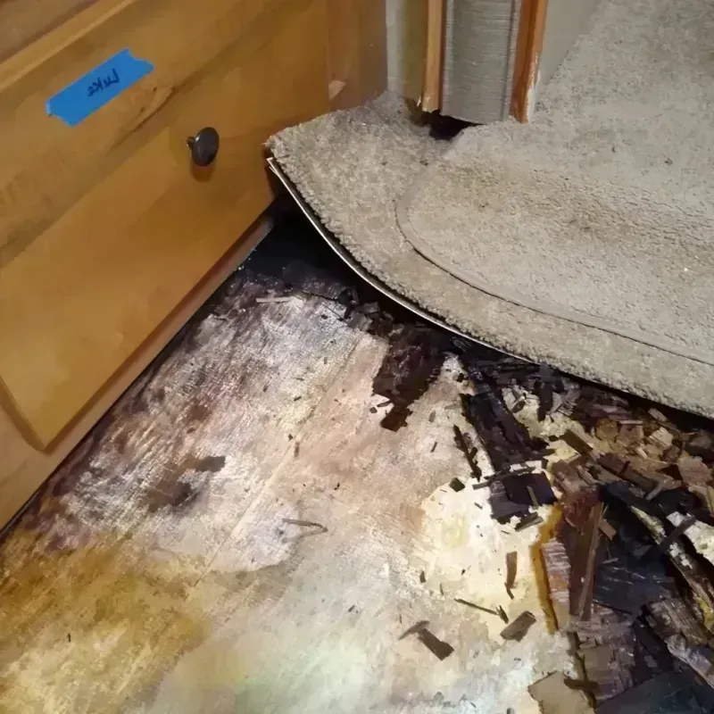 Wood Floor Water Damage in Folsom, CA